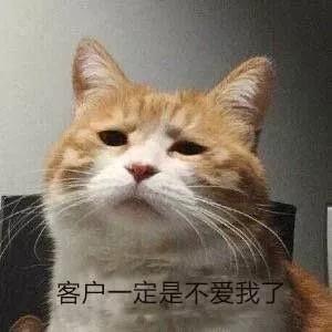 五洲會全球購：蛙笑神助攻，助其一夜之間遍地開花