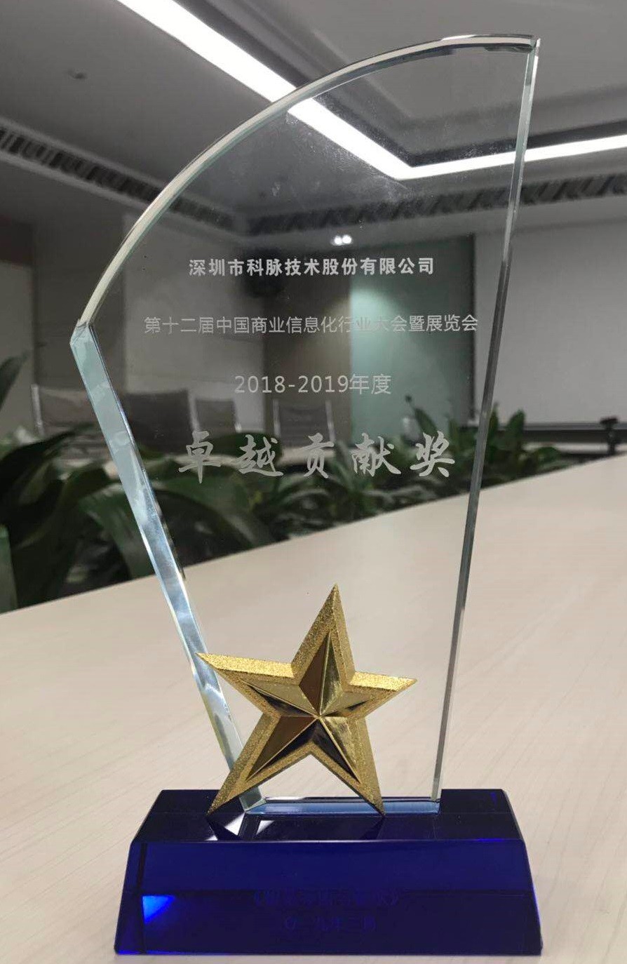第十二屆中國商業(yè)信息化行業(yè)大會-卓越貢獻獎