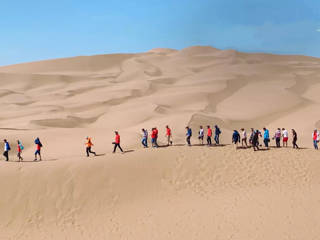 將一時興起，堅持到底｜科脈20周年·新疆初心之旅