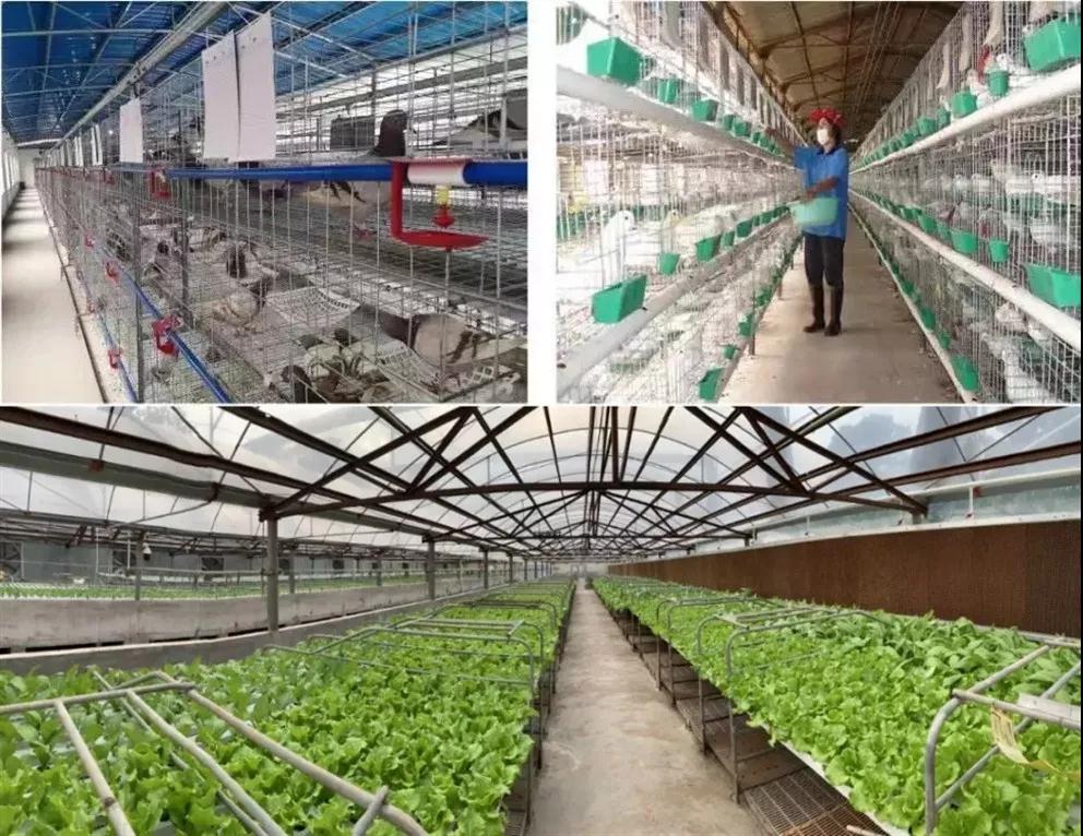 善意在蔓延，他們守護(hù)著我們的健康和生活