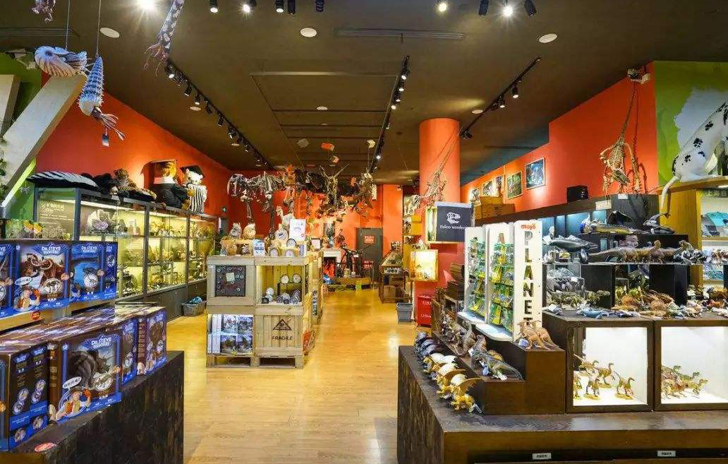 開一家玩具店需要多少錢？開玩具店成本大概多少錢