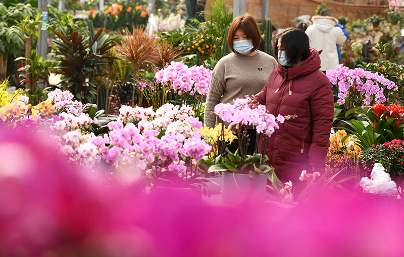 開家鮮花店要投資多少錢？鮮花店成本分析