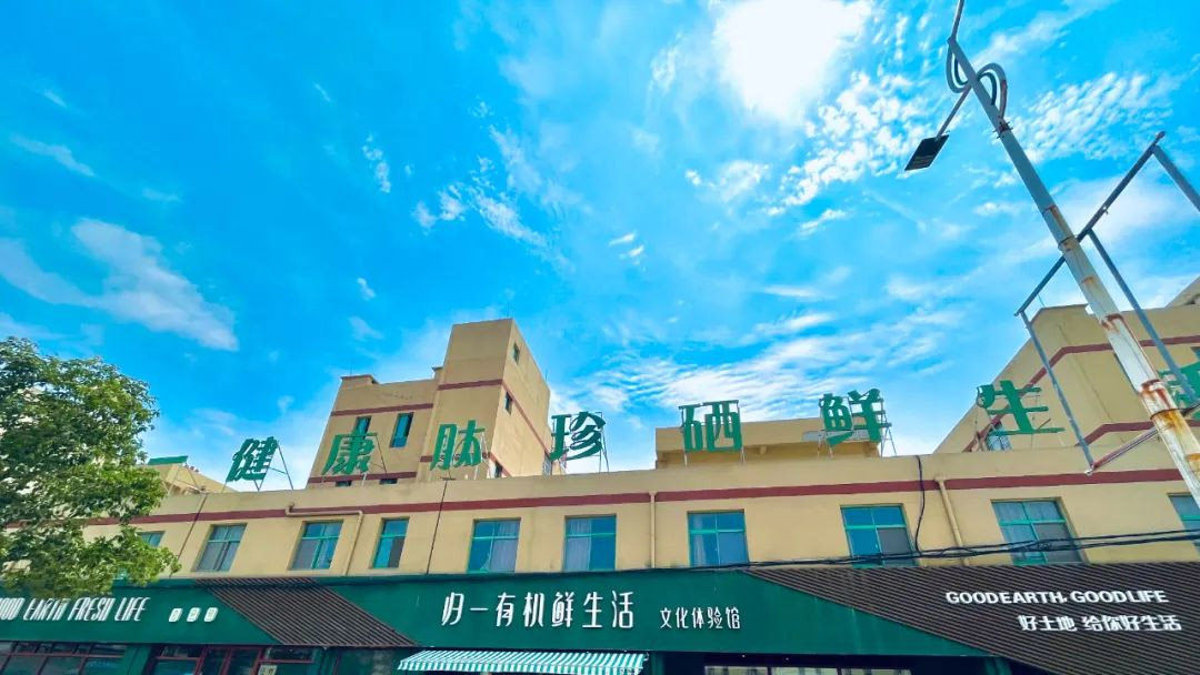王銀香：“起初養(yǎng)牛，只是為了牛糞”，沒想做成了國家認(rèn)可的有機(jī)產(chǎn)業(yè)鏈